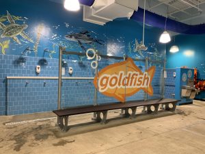 Goldfish Different